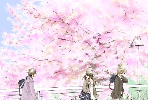 含羞草研究所2024最新入口